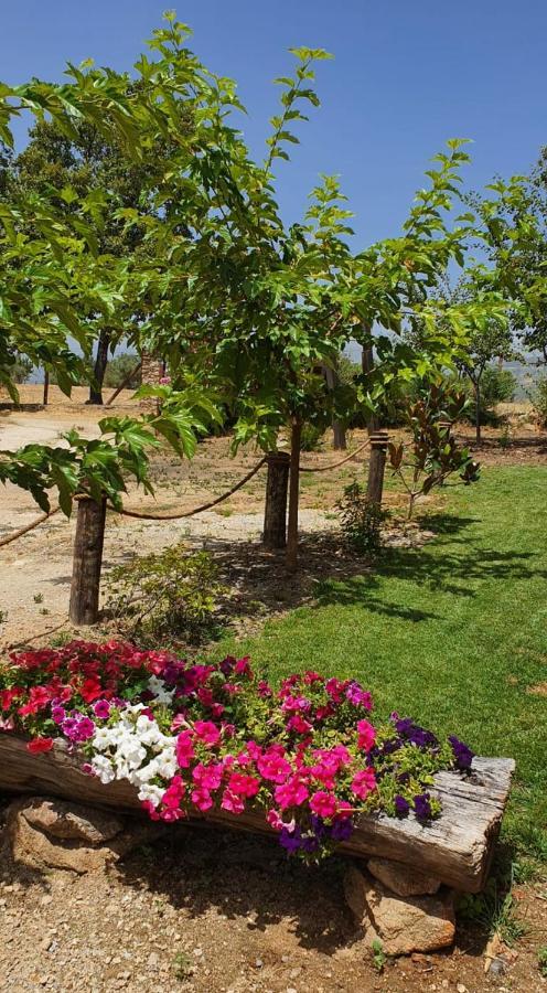Casa Rural Las Traviesas كانديليدا المظهر الخارجي الصورة